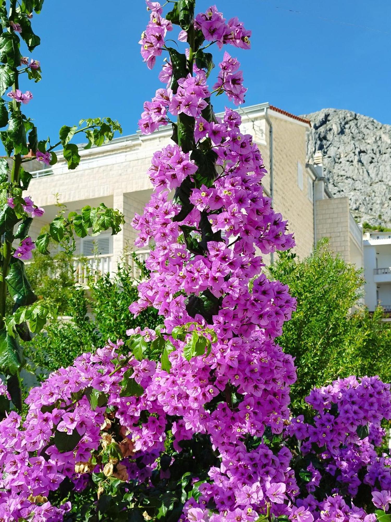 Ferienwohnung Am Sandstrand Omiš Εξωτερικό φωτογραφία